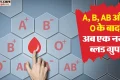 इंसानों में मिला 49वां ब्लड ग्रुप: इस्राइली महिला मरीज के खून से खुला राज, गलत रक्त चढ़ने का खतरा होगा कम