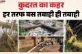आंधी ने मचाई चारों तरफ तबाही ही तबाही: 200 से अधिक बिजली के खंभे गिरे, 13 ट्रांसफार्मर खराब; 260 पेड़ धराशायी