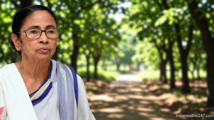 दीदी की पार्टी में खेला: दर्जनों सांसदों के टूटने का दावा, क्यों TMC के भीतर सुलग रही है बगावत की आग?