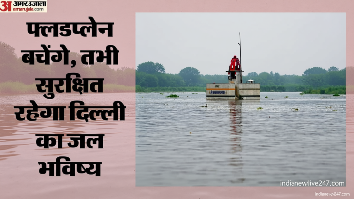 International Study: यमुना डूब क्षेत्र दिल्ली का प्राकृतिक वाटर प्यूरीफायर, सुरक्षित भविष्य के लिए बचाना होगा
