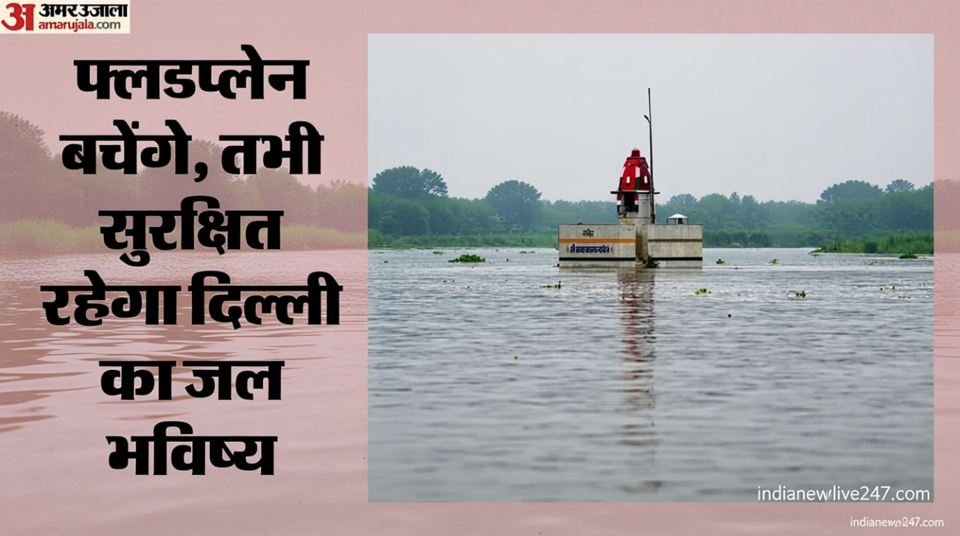 International Study: यमुना डूब क्षेत्र दिल्ली का प्राकृतिक वाटर प्यूरीफायर, सुरक्षित भविष्य के लिए बचाना होगा