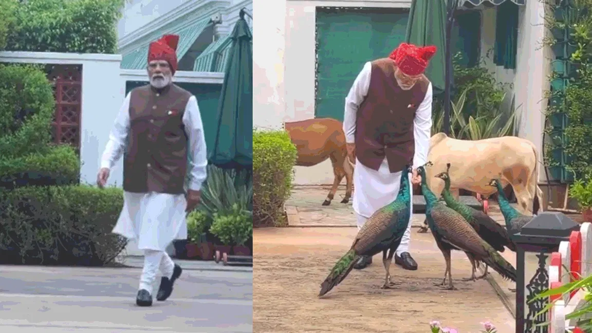 मोर को दाना खिलाया, गाय को चारा दिया: पीएम ने लाल किले पर जाने से पहले का वीडियो किया साझा; क्या कहा?