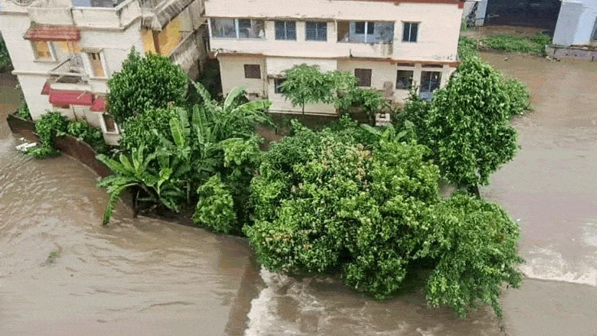 Odisha Flood: पांच दिन तक पेड़ से चिपका रहा शख्स, नदी में बहने के बावजूद बचाव दल ने कैसे सुनंदा की जान बाचाई?