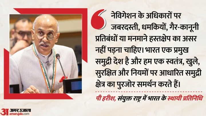 यूएन: ‘समुद्री व्यापार को भू-राजनीतिक तनाव के लिए निशाना न बनाएं’, भारतीय राजदूत की होर्मुज संकट पर दो टूक